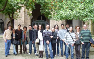 Las visitas a las cubiertas de la Catedral de Sevilla organizadas por el Colegio, todo un éxito