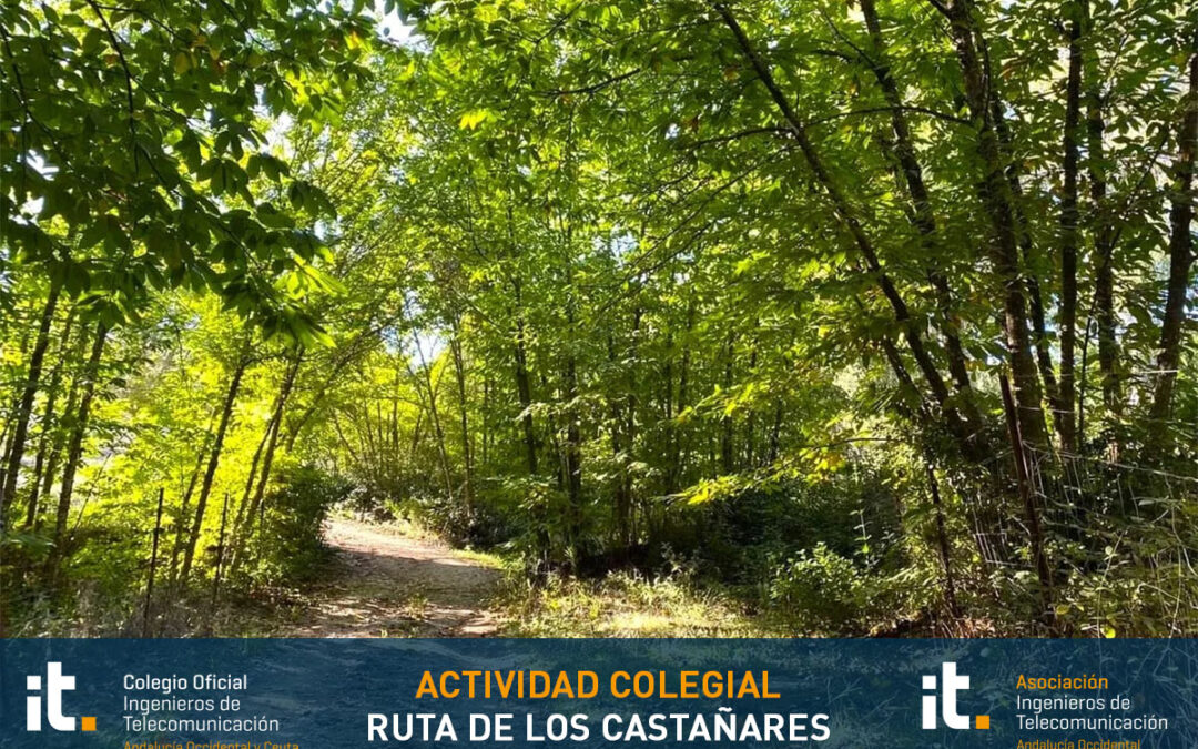 La Ruta de Los Castañares, una oportunidad para descubrir Constantina en pleno otoño